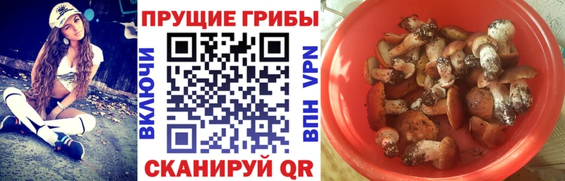 Псилоцибиновые грибы Magic Shrooms  Купить где  Бобров 